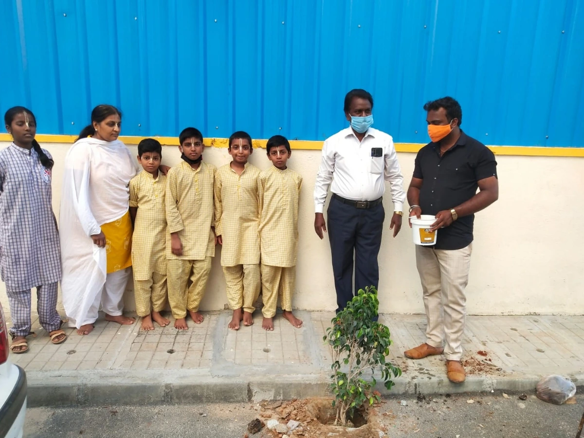 Meal Distribution